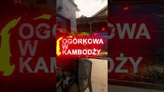Rozwaliłem głowę… a teraz jem ogórkową 😅 #podróże #ogórki #kambodża