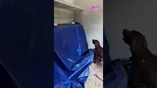 Dom za 50k. Ale na jakim zadupiu.