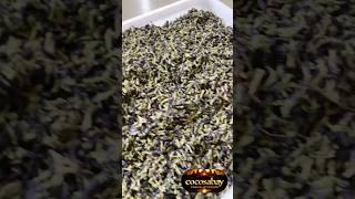 🇰🇭Będzie co pakować🤩🙏👌 #cambodia #cambolife #cocosabay