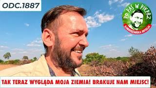 Tak teraz wygląda moja ziemia! Brakuje nam miejsc do siedzenia w restauracji! Odc.1887